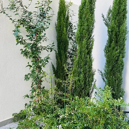 Iasonos 9 Luxury * Tríkala