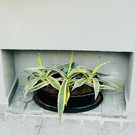 Iasonos 9 Luxury Tríkala