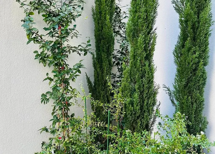 Iasonos 9 Luxury * Tríkala