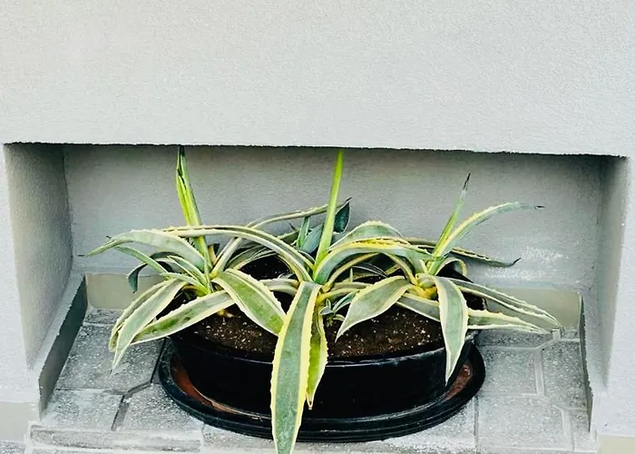 Iasonos 9 Luxury Tríkala